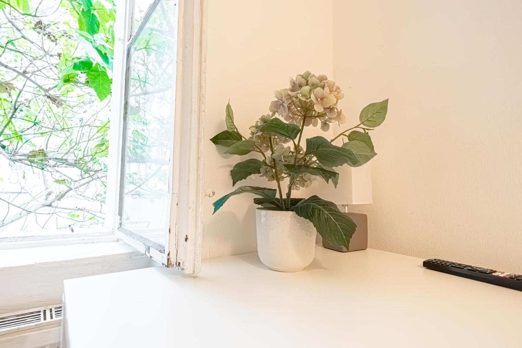 Central Belvedere 3Br Shared Apartment - 12 Min From City Center Βιέννη Εξωτερικό φωτογραφία